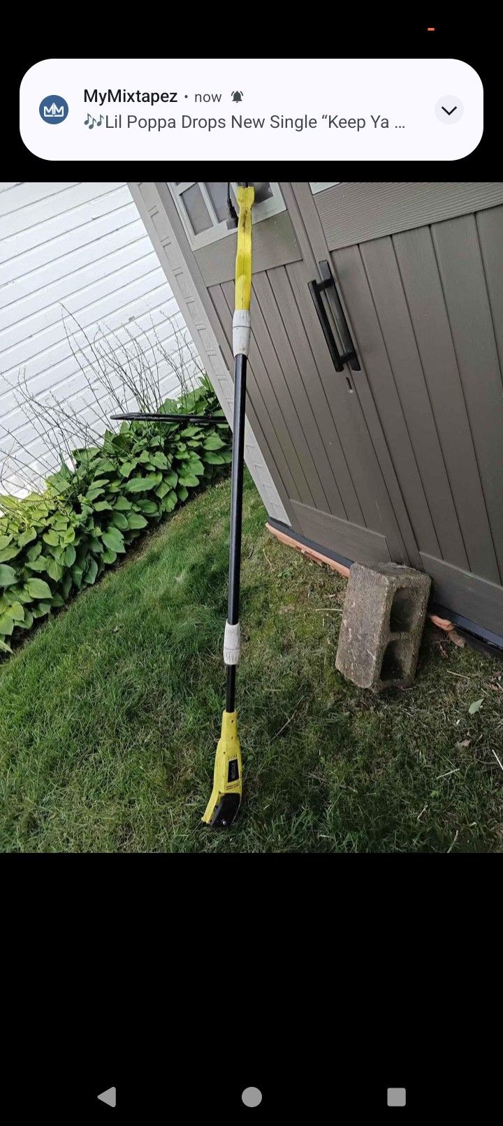 6ft Ryobi Electric Pole Saw