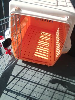 PET Carrier, by Octogon, large