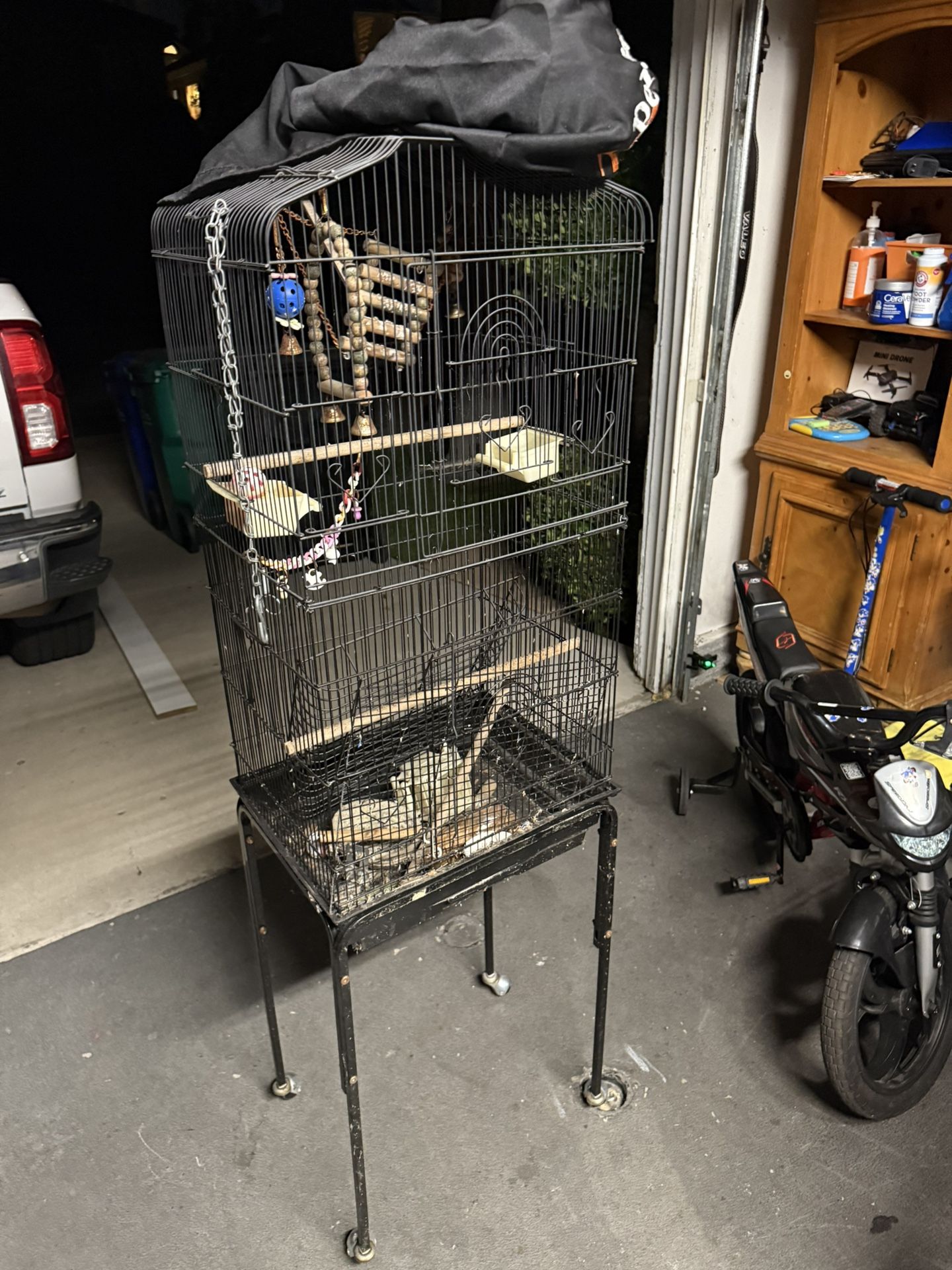 Bird Cage