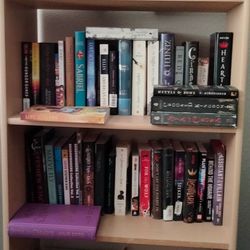 📚 YA Fantasy, Graphic Novel And Classic Horror Lot | Lightly Used