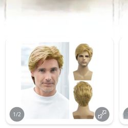 Mens Cosplay Wig