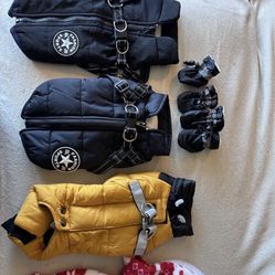 X-Small Dog Jackets
