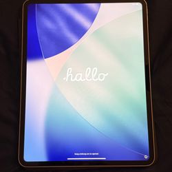 Apple iPad Pro 14 (M4) Wi-Fi, Pencil Pro & Extras 