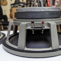 EVM 12” Guitar Speakers 