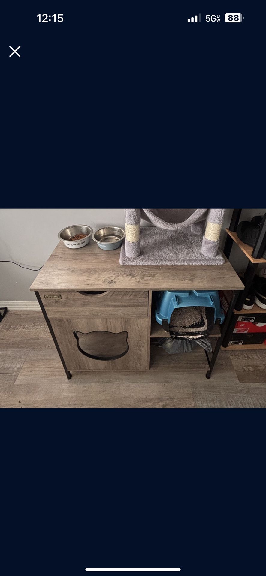 Cat hide out with draw