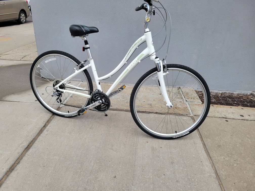 Mint 21 Speed Giant Hybrid