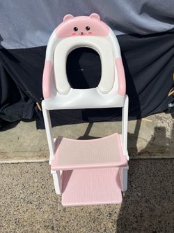 Potty Training Seat with Step Stool