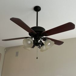 Fan