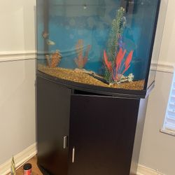36 Gallon Aquarium 