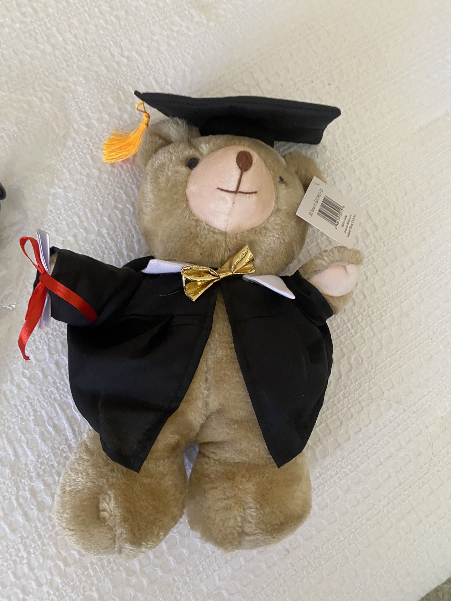 Graduation Teddy Bear 🧸 