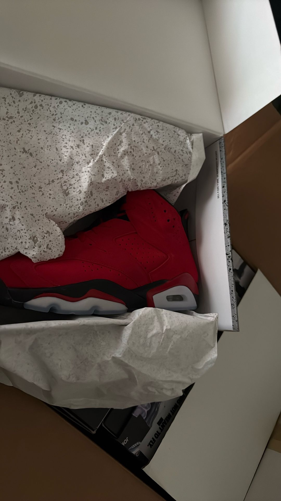 Air Jordan 6 " Red "
