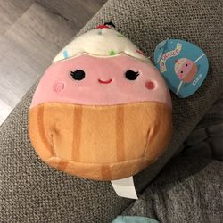 Brand New SquishMallows