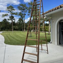 12 Ft. Ladder