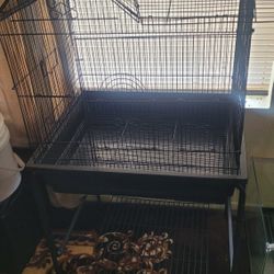 Bird Cage