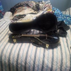 Mandolin 
