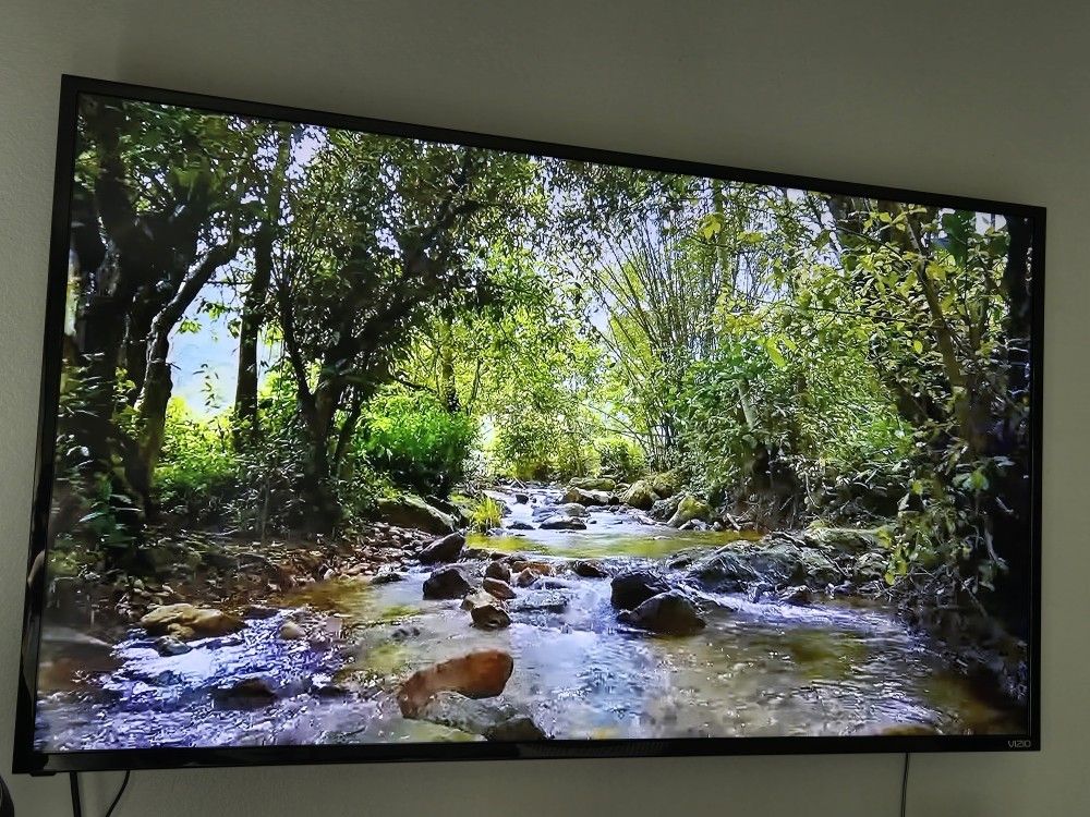55 Inch Vizio TV