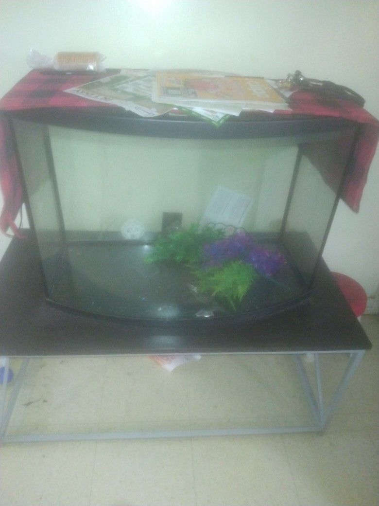 Fish Tank