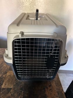 plastic dog kennel.
