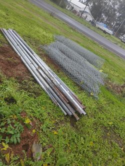 Wire Fence And 20 Post. (200 Feet)