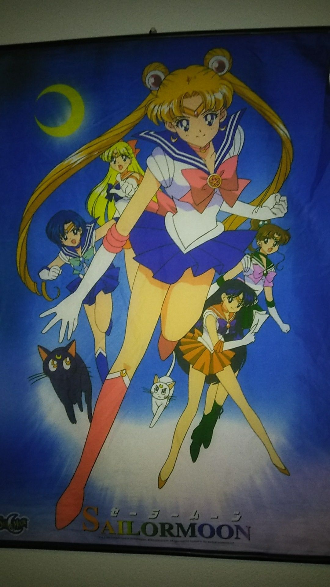 Sailor Moon wall banner