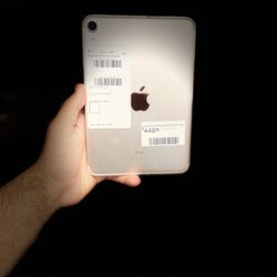 iPad Mini 6th Generation 256GB Cellular WiFi - Pink