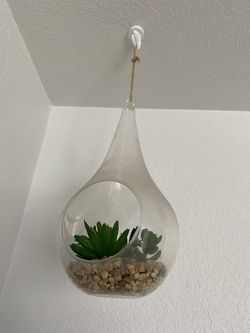 hanging plant without hook