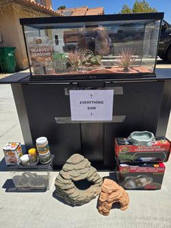 BEARDED DRAGON HABITAT KIT