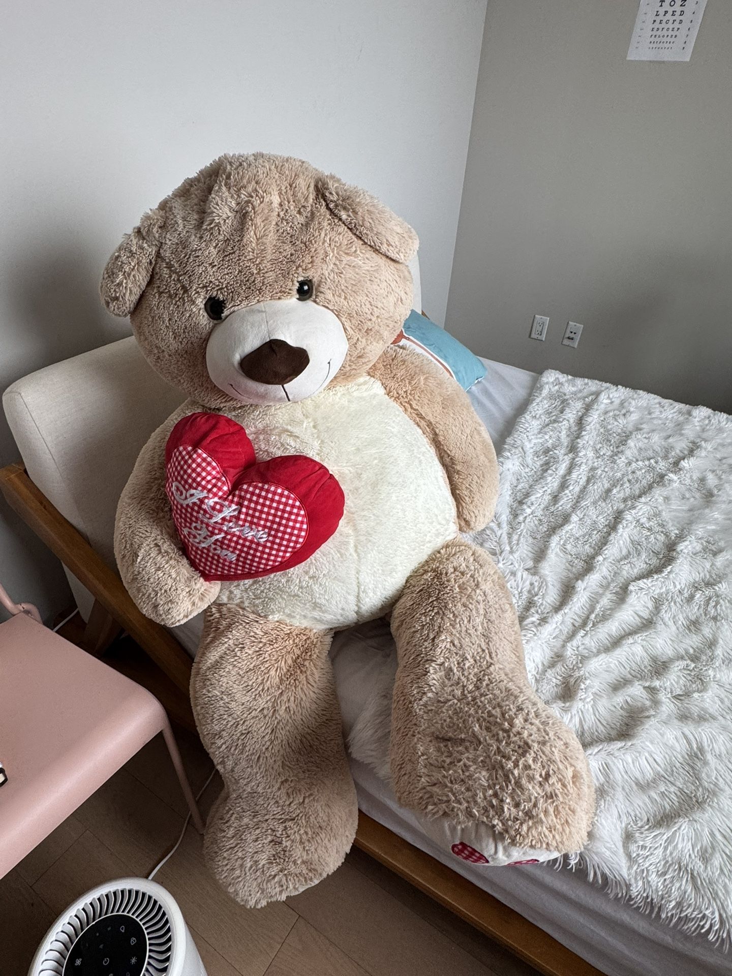 Teddy Bear