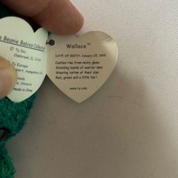 Wallace Bear Beanie Baby 