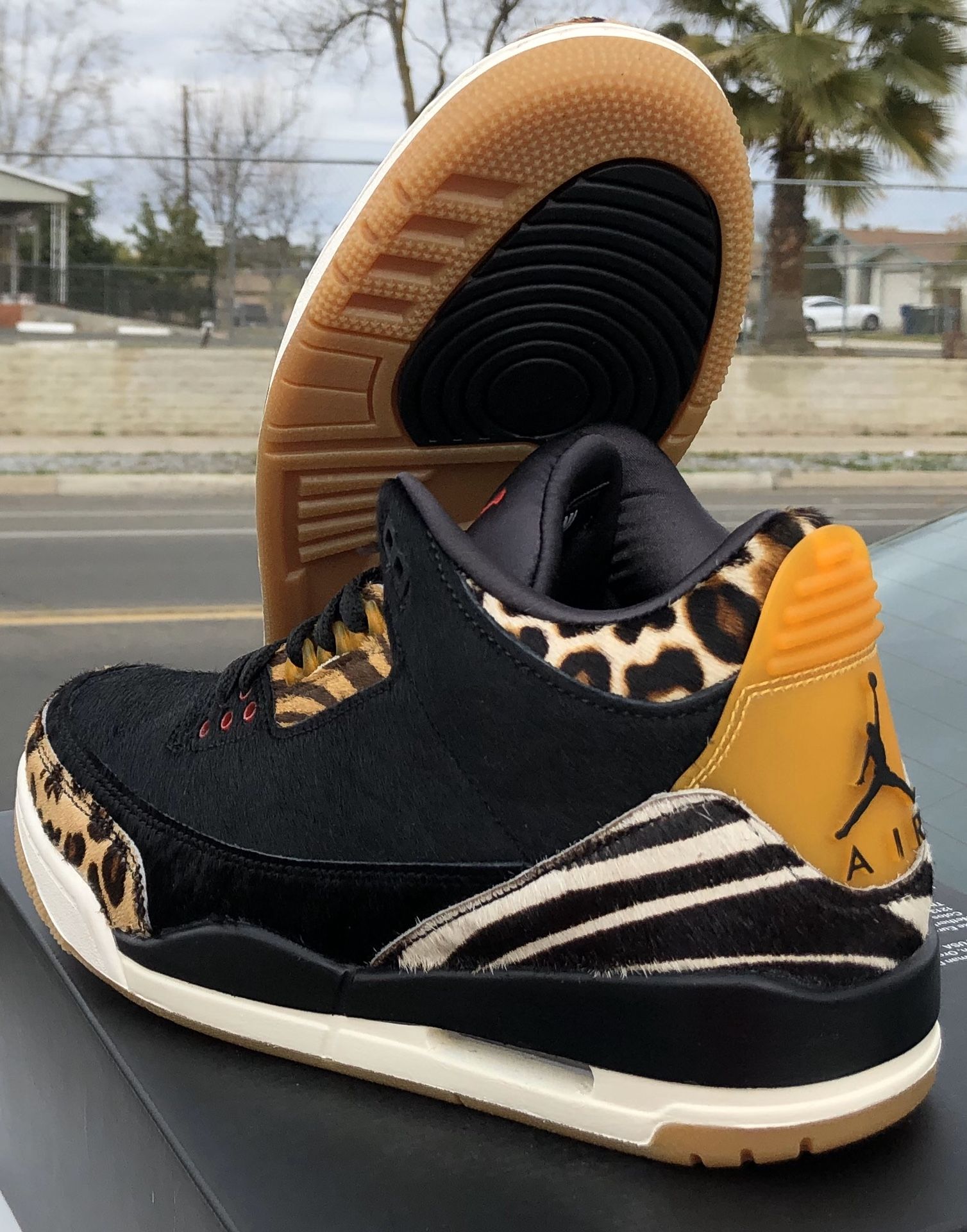 Jordan 3 animal instinct $140