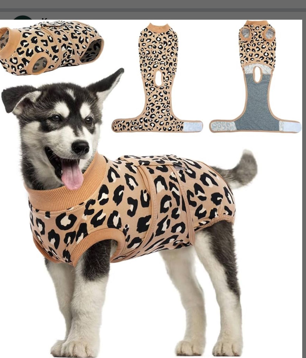 Dog Onesie