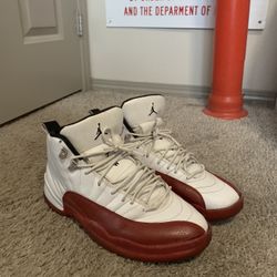 Jordan 12 Retro 'Cherry' (2009) sz 10