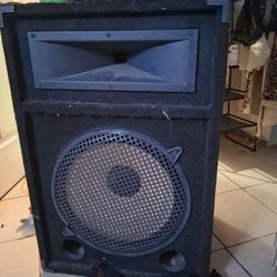 Pa 15 Inch Speaker 