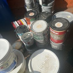 Free Paint