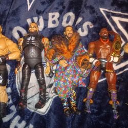WWE Elite Action Figures Collection 