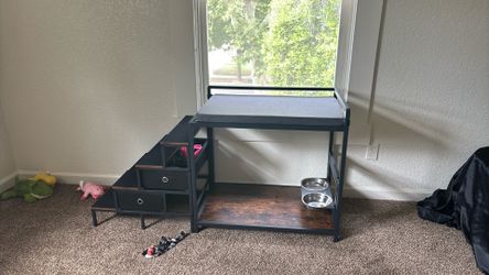 Dog area
