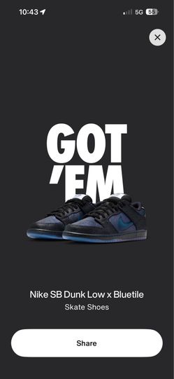 Nike SB Dunk Low Pro Bluetile size 11M