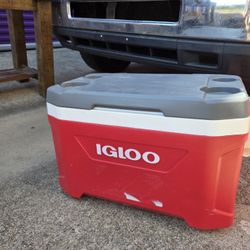 Igloo Cooler 