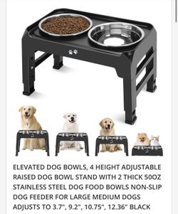 Dog Bowl