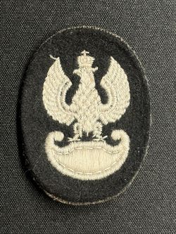 WW2 Polish hat eagle on black backing- forces in the west
