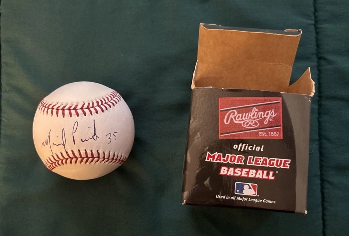 Michael Pineda New York Yankees Autographed Authentic Baseball - 2015