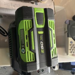 Battery Ego 