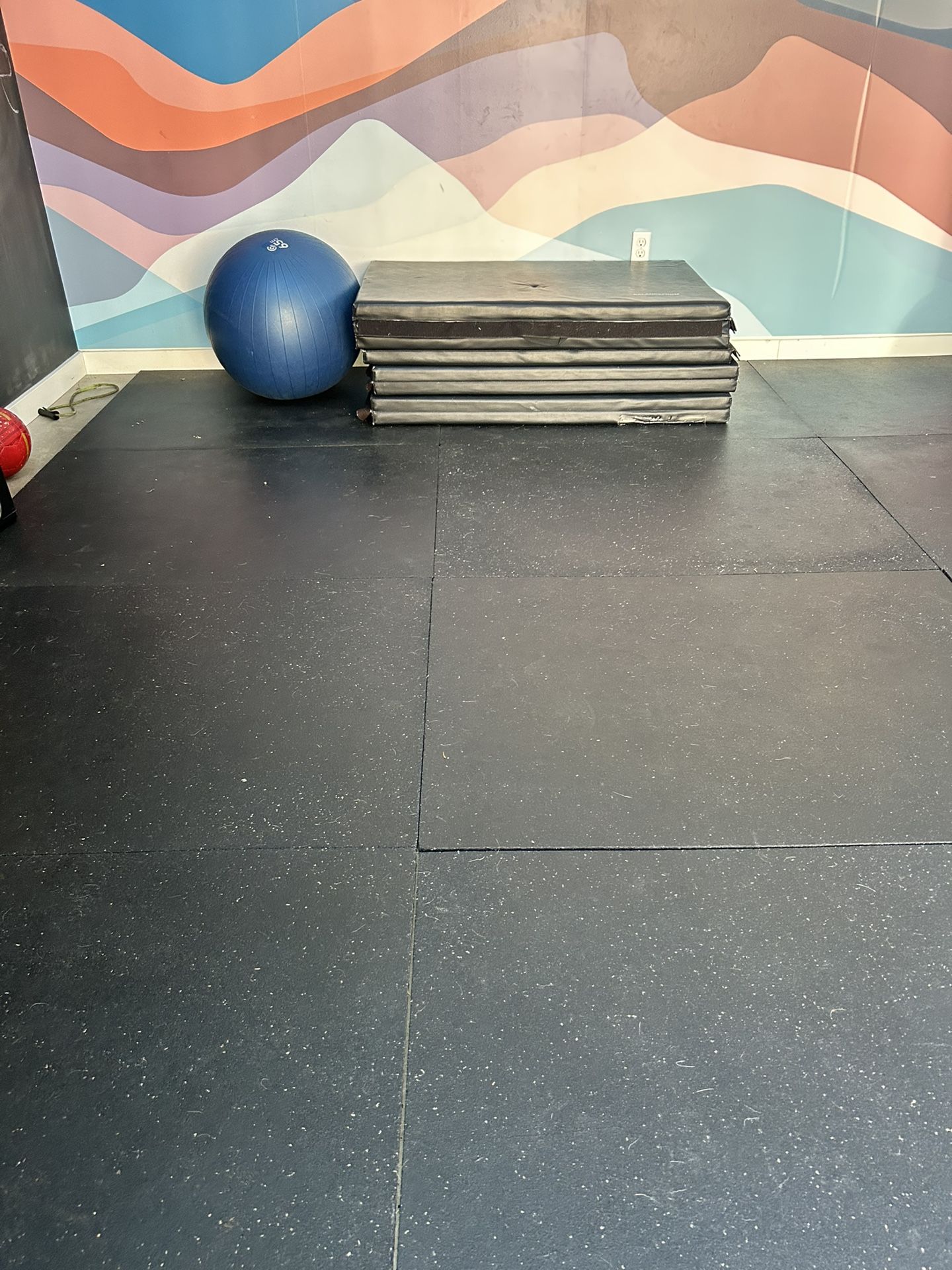 Stall Mats 3’ X 4’ X 1/2”. 20 Mats
