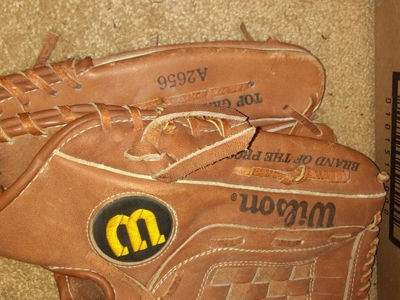 Wilson's Ball Glove