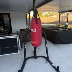 Everlast Punching Bad And Stand 