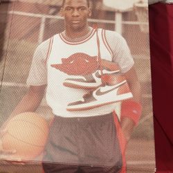 Nike Air Jordan 1 High