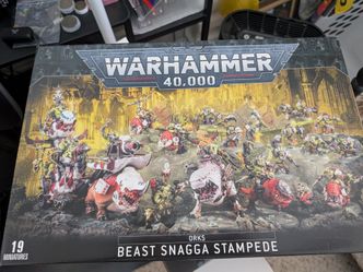 Ork Beast Snagga Stampede