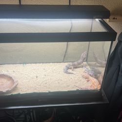 Enclosures