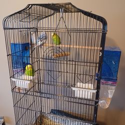 Cage