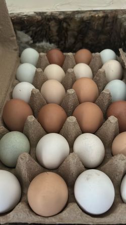 Home Chef Eggs